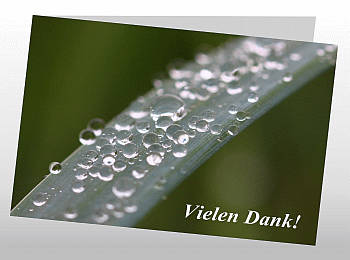 Danksagungen Trauer
