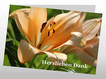 Danksagungen Trauer