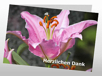 Danksagungen Trauer