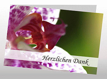 Danksagungen Trauer