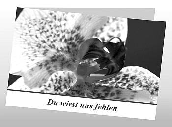 Danksagungen Trauer