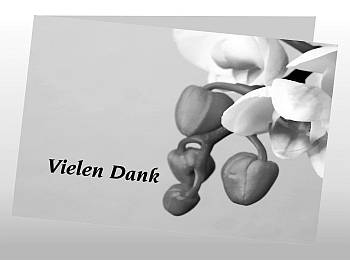 Danksagungen Trauer