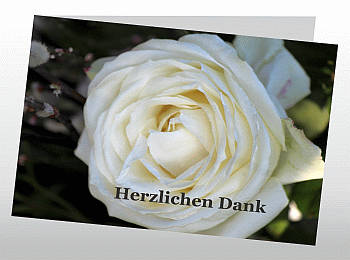Danksagungen Trauer