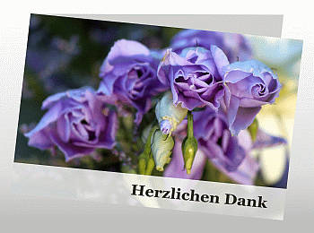 Danksagungen Trauer